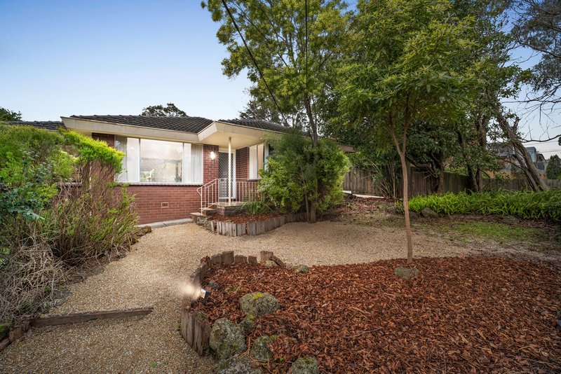 Photo - 3 Ritz Street, Vermont South VIC 3133 - Image 1