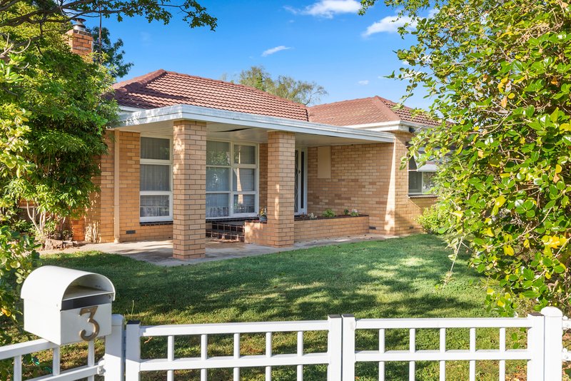 3 River Street, Nagambie VIC 3608