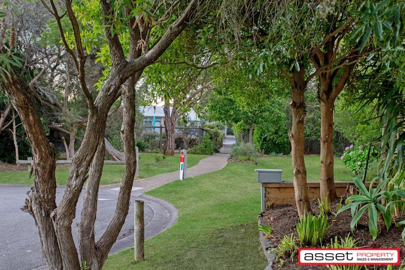 Photo - 3 Rose Court, Mccrae VIC 3938 - Image 8