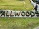 Photo - 3 Royal Troon Avenue, Tallwoods Village NSW 2430 - Image 4