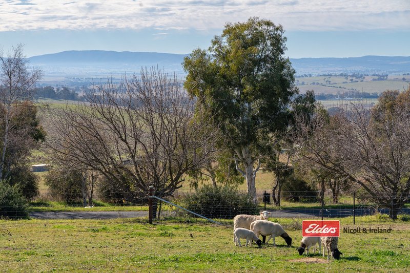 Photo - 3 Samuel Way, The Lagoon Via , Bathurst NSW 2795 - Image 16