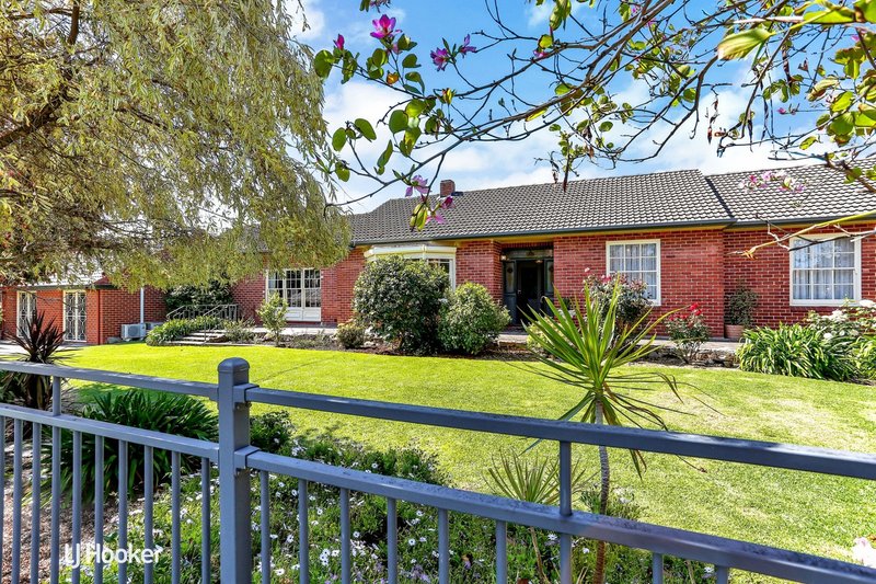 Photo - 3 Seymour Grove, Campbelltown SA 5074 - Image 5