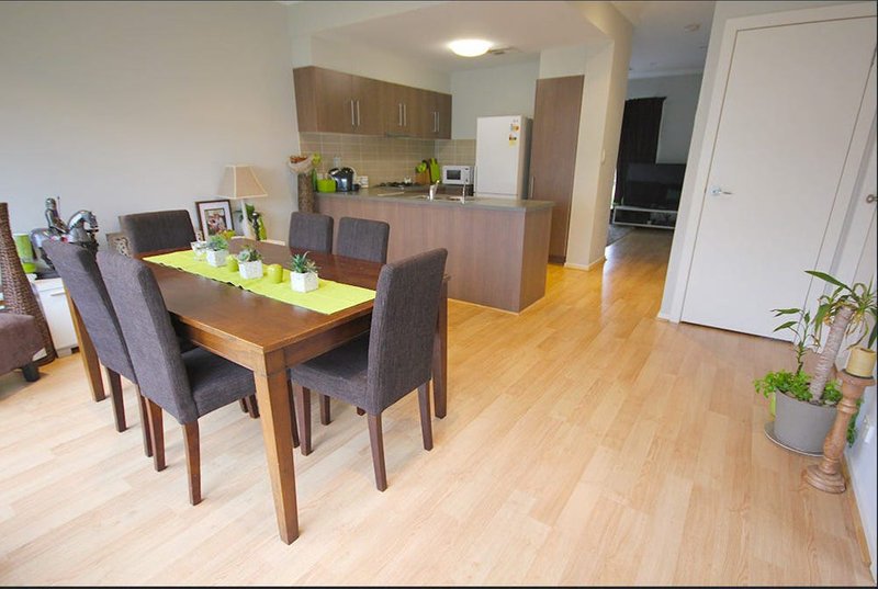 Photo - 3 Shearing Street, Oaklands Park SA 5046 - Image 4