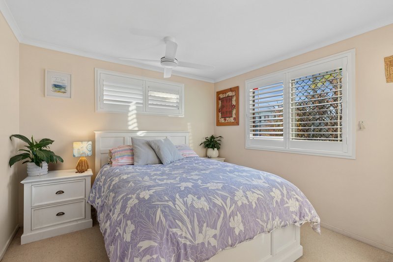 Photo - 3 Spindrift Avenue, Coolum Beach QLD 4573 - Image 7