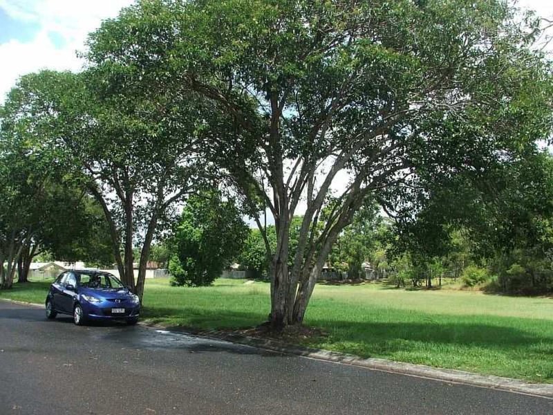 Photo - 3 St Andrews Drive, Buderim QLD 4556 - Image 6