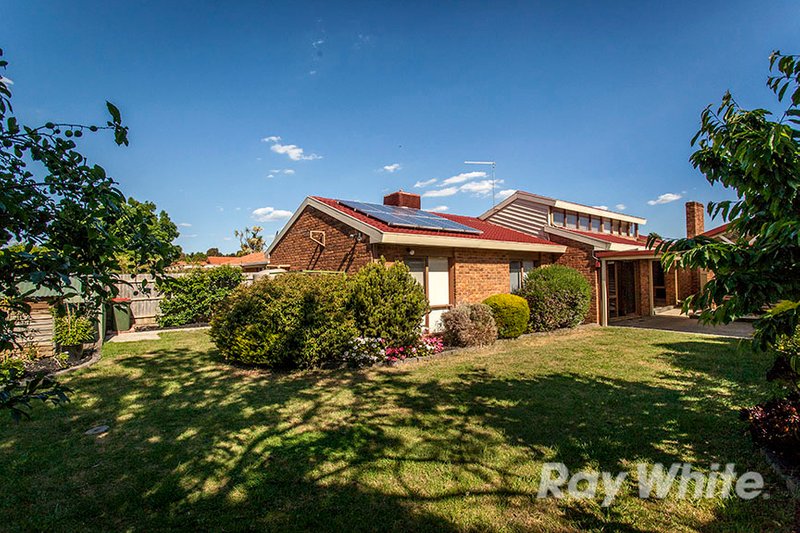 Photo - 3 St John Place, Rowville VIC 3178 - Image 7