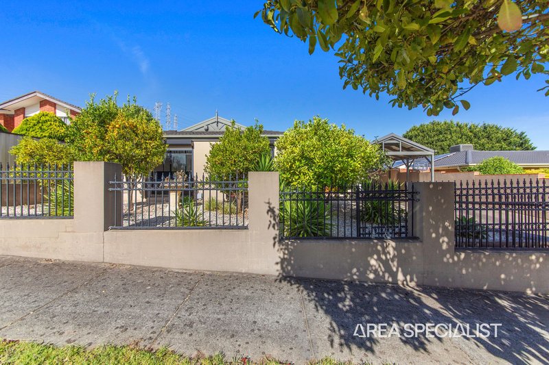 Photo - 3 Steeple Place, Endeavour Hills VIC 3802 - Image 30