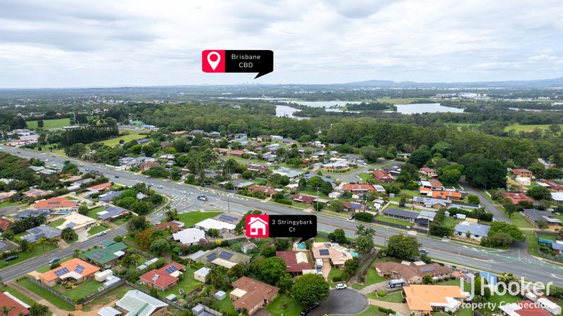 Photo - 3 Stringybark Court, Murrumba Downs QLD 4503 - Image 21