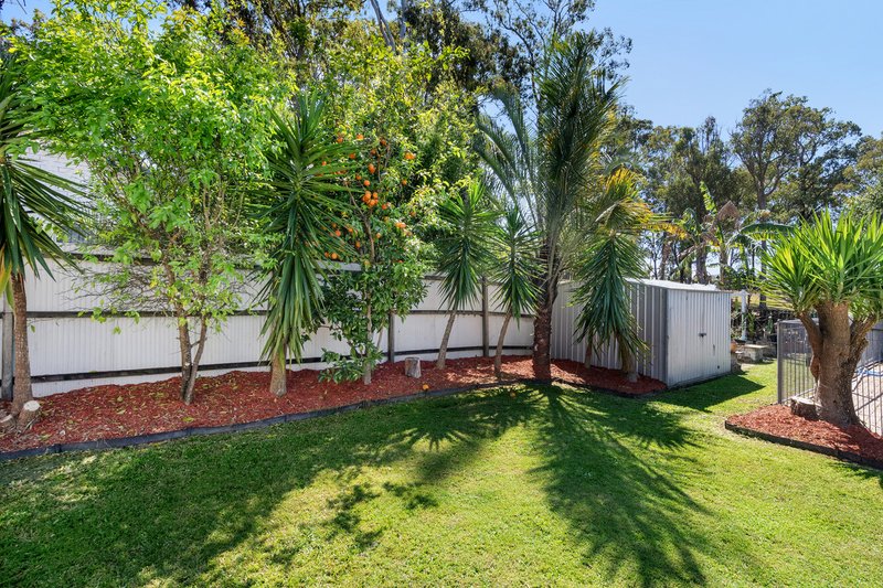 Photo - 3 The Domain, Nerang QLD 4211 - Image 16