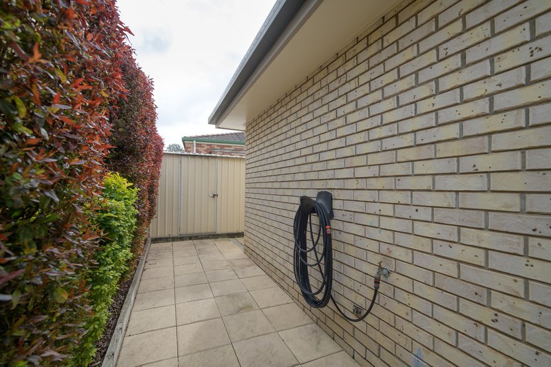 Photo - 3 Tollana Close, New Auckland QLD 4680 - Image 14