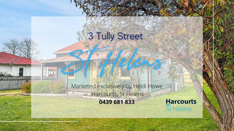 Photo - 3 Tully Street, St Helens TAS 7216 - Image 34