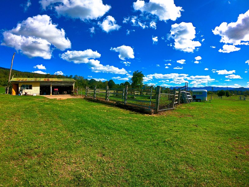 Photo - 3 Tutin Road, Fassifern Valley QLD 4309 - Image 14