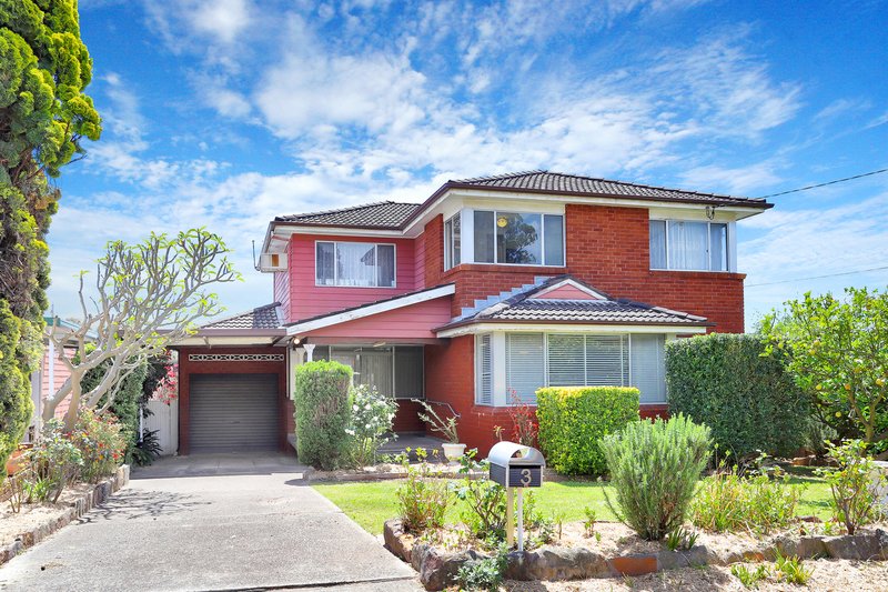 3 Violet Place, Greystanes NSW 2145