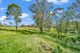 Photo - 3 Wallaby Close, Duns Creek NSW 2321 - Image 22