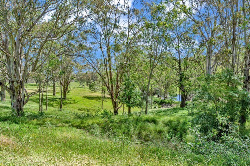 Photo - 3 Wallaby Close, Duns Creek NSW 2321 - Image 23