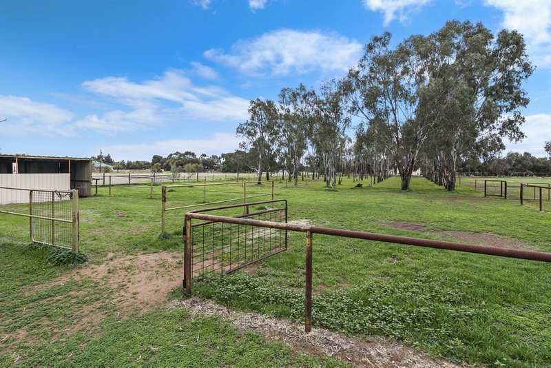 Photo - 3 Ward Belt Road, Gawler Belt SA 5118 - Image 19