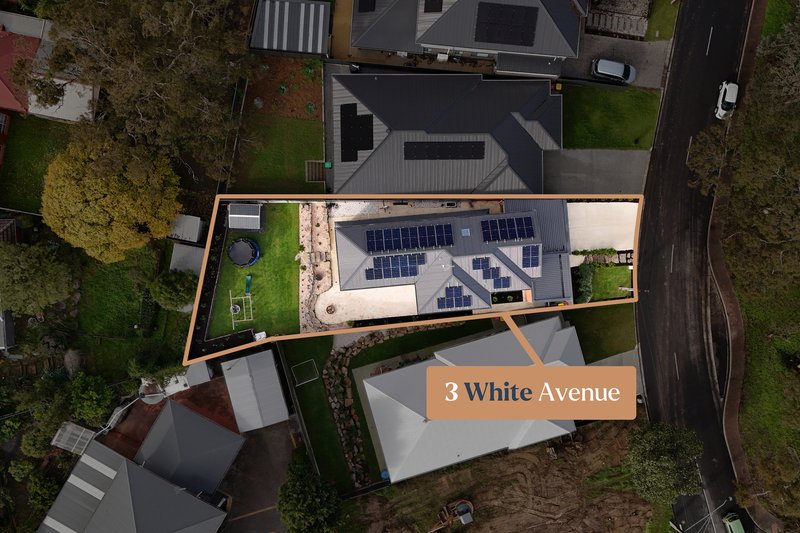 Photo - 3 White Avenue, Tea Tree Gully SA 5091 - Image 26