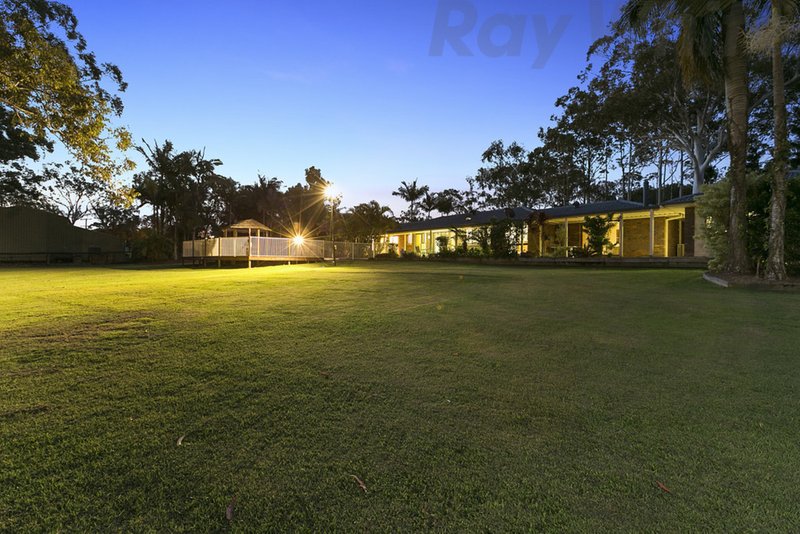 Photo - 3 Wildflower Road, Capalaba QLD 4157 - Image 7