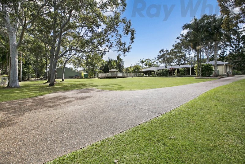 Photo - 3 Wildflower Road, Capalaba QLD 4157 - Image 15