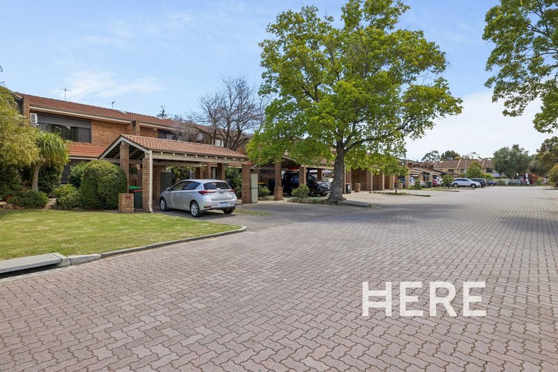 Photo - 3 Windich Place, Leederville WA 6007 - Image 30