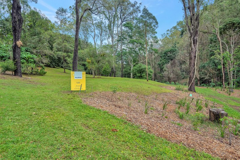 Photo - 3 Wongaree Way, Currumbin Valley QLD 4223 - Image 2