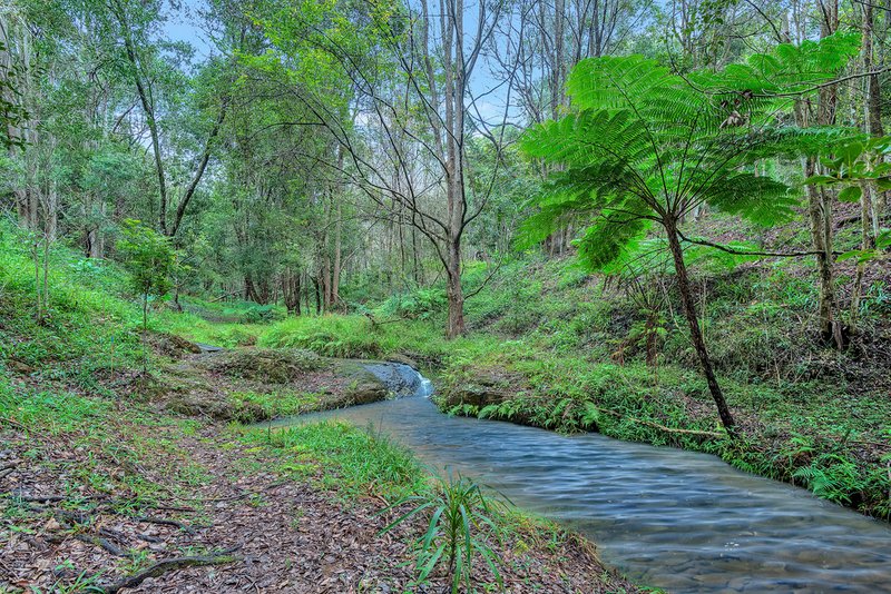 Photo - 3 Wongaree Way, Currumbin Valley QLD 4223 - Image 5