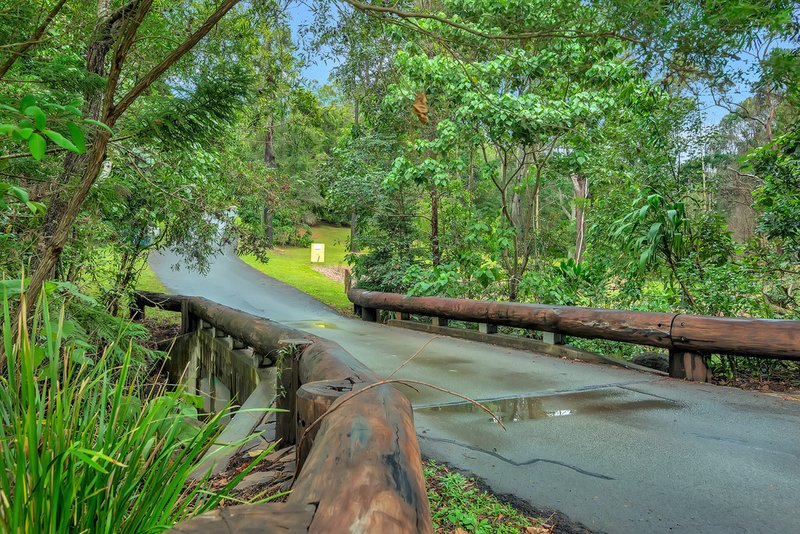 Photo - 3 Wongaree Way, Currumbin Valley QLD 4223 - Image 8