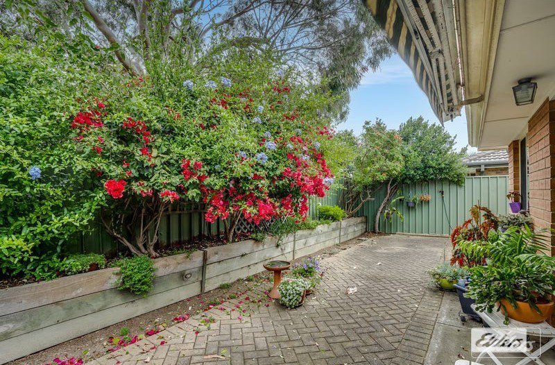 Photo - 3 Woodrow Way, Goolwa SA 5214 - Image 11