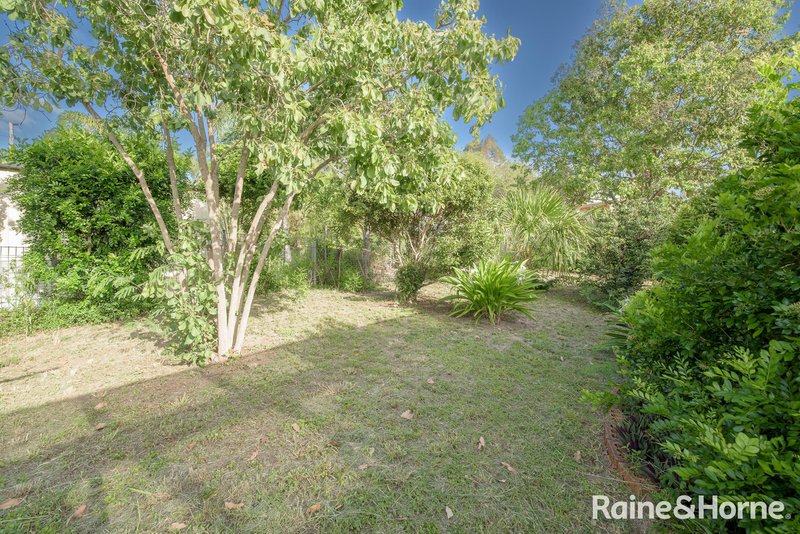 Photo - 3 Woollybutt Street, New Auckland QLD 4680 - Image 13