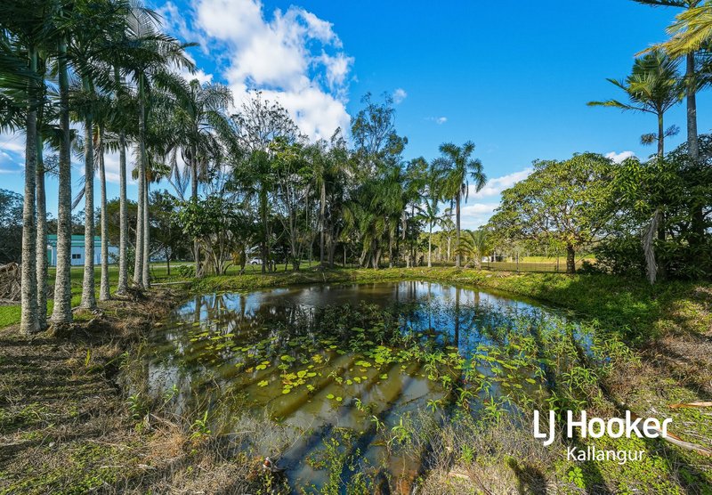 Photo - 30-34 Jimbarri Court, Burpengary QLD 4505 - Image 3