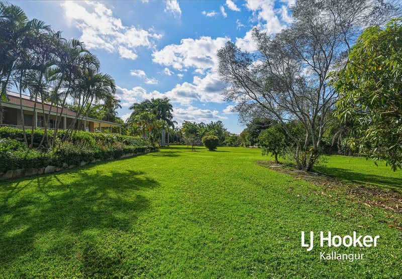 Photo - 30-34 Jimbarri Court, Burpengary QLD 4505 - Image 4