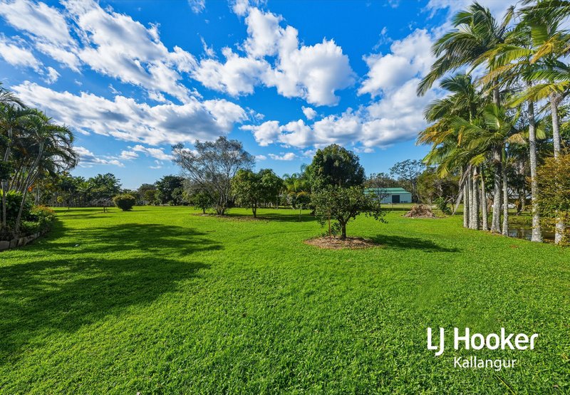 Photo - 30-34 Jimbarri Court, Burpengary QLD 4505 - Image 19