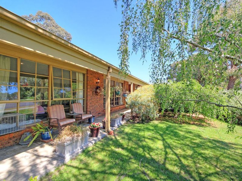 Photo - 30 Barossa Avenue, Vermont South VIC 3133 - Image 11