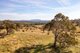 Photo - 30 Bona Vista Road (Part) Road, Armidale NSW 2350 - Image 15