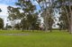 Photo - 30 Cedar Avenue, Warradale SA 5046 - Image 4