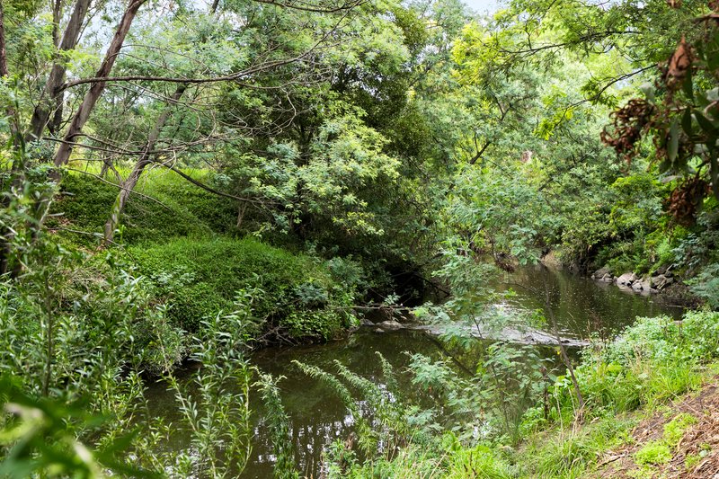 Photo - 30 Cole Crescent, Coburg VIC 3058 - Image 22