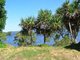 Photo - 30 Coorong Street, Macleay Island QLD 4184 - Image 5