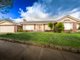 Photo - 30 Daphne Street, Doncaster East VIC 3109 - Image 3