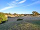 Photo - 30 Darpuna Road, Mount George SA 5155 - Image 20