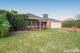 Photo - 30 Excelsior Drive, Canning Vale WA 6155 - Image 4