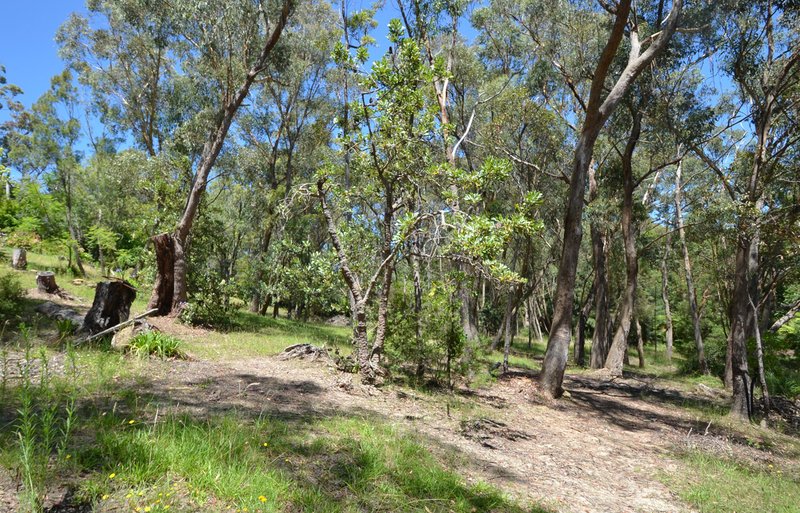 Photo - 30 Forest Glen Road, Woodford NSW 2778 - Image 8