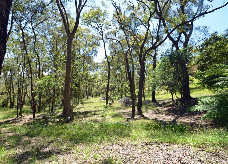 Photo - 30 Forest Glen Road, Woodford NSW 2778 - Image 11