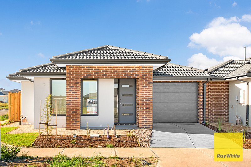 Photo - 30 Galium Road, Tarneit VIC 3029 - Image 1