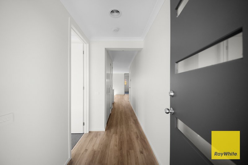Photo - 30 Galium Road, Tarneit VIC 3029 - Image 3
