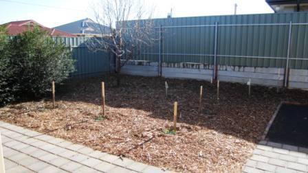 Photo - 30 Gemini Drive, Munno Para West SA 5115 - Image 26
