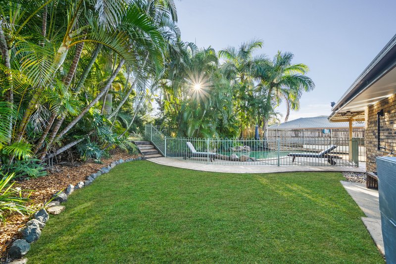 Photo - 30 Gerbera Crescent, Strathpine QLD 4500 - Image 12