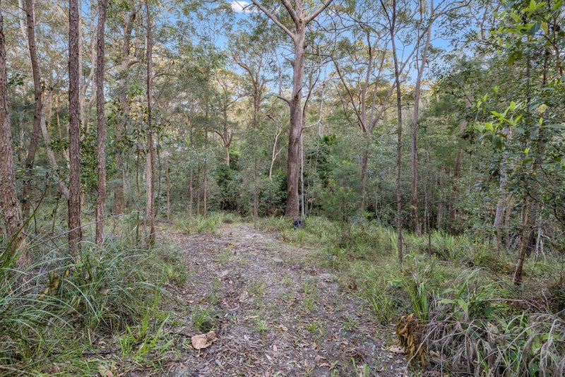 Photo - 30 Hinterland Drive, Little Mountain QLD 4551 - Image 20