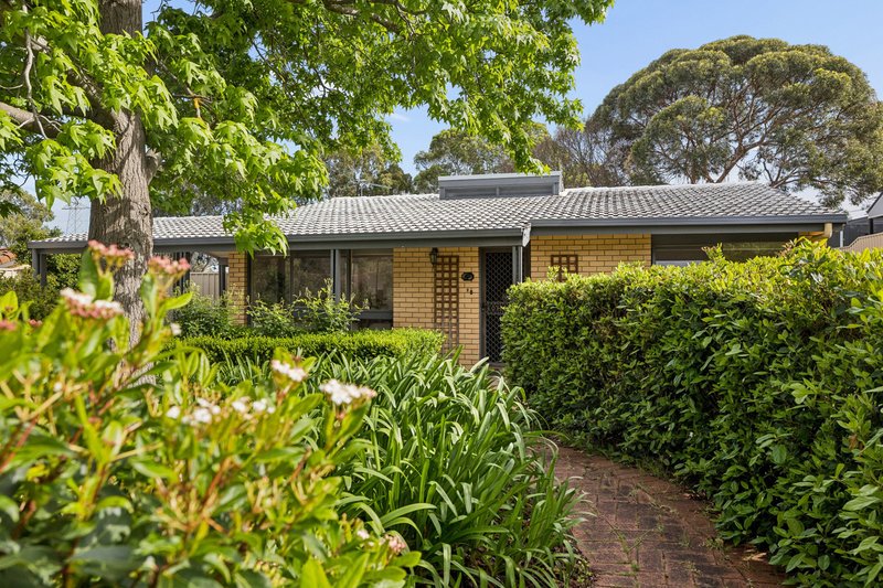 Photo - 30 Horn Drive, Happy Valley SA 5159 - Image 3