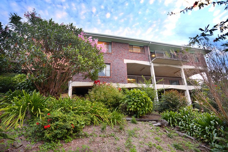 Photo - 30 Illawong Street, Buderim QLD 4556 - Image 5