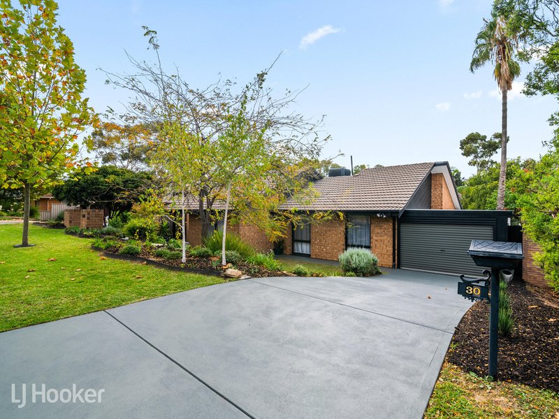 30 John Renwick Place, Modbury Heights SA 5092